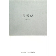 巴金文学院签约作家书系：黑天使