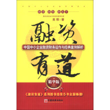 融资有道:中国中小企业融资财务运作与经典案例解析(精华版3)