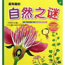 小学生趣味科普大本营8：最有趣的自然之谜（彩图注音版）