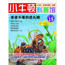 小牛顿科普馆：来者不善的虎头蜂19