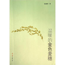 温暖的金色麦穗