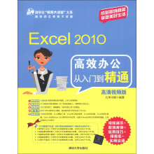 Excel 2010高效办公从入门到精通(高清视频版)(附DVD-ROM光盘1张)