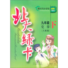 北大绿卡:9年级化学(下)(人教版)(课时同步讲练)(新版)