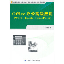 Office 办公高级应用