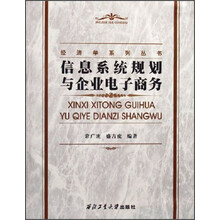 信息系统规划与企业电子商务