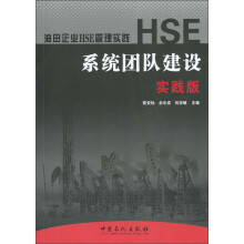 HSE系统团队建设(实践版)