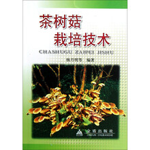 茶树菇栽培技术