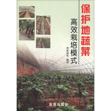 保护地蔬菜高产栽培模式