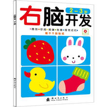 左右脑开发：右脑开发（2-3岁）