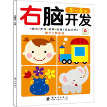 左右脑开发：右脑开发（5-6岁）