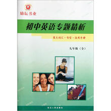 初中英语专题精析（9年级全）