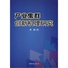 产业集群创新机理研究