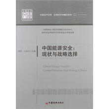 中国能源安全:现状与战略选择