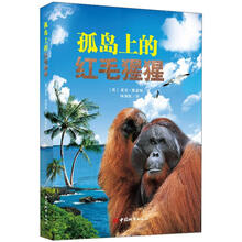 孤岛上的红毛猩猩