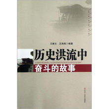 历史洪流中奋斗的故事