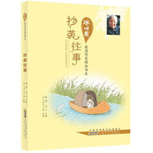 抄袭往事/冰心奖获奖作家精品书系
