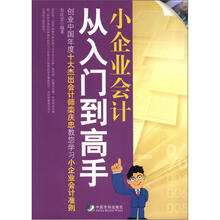 小企业会计从入门到高手