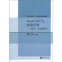 Excel会计与财务管理：理论、方案暨模型