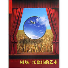 剧场：汪建伟的艺术/中国当代艺术家展览学术丛书
