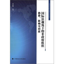 国际法视角下的非政府组织：趋势、影响与回应