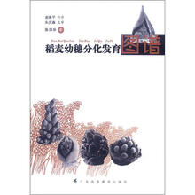 稻麦幼穗分化发育图谱