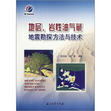 地层岩性油气藏地震勘探方法与技术