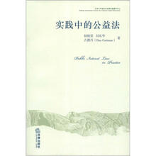 实践中的公益法