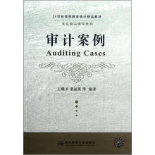 21世纪高等教育审计精品教材：审计案例