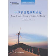 中国新能源战略研究