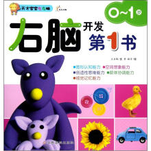 天才宝宝左右脑:右脑开发第1书(0-1岁)