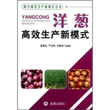南方蔬菜生产新模式丛书：洋葱高效生产新模式