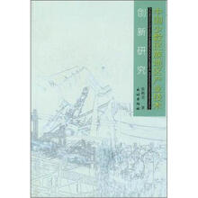 中国少数民族地区产业技术创新研究