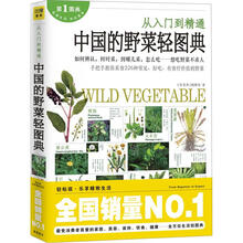 从入门到精通中国的野菜轻图典