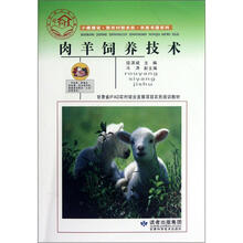 肉羊饲养技术