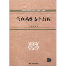 高等院校信息管理与信息系统专业系列教材：信息系统安全教程