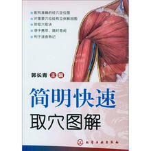 简明快速取穴图解
