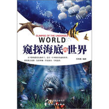 窥探海底的世界