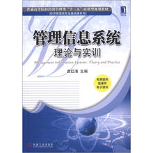 管理信息系统:理论与实训