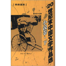 20世纪末中国文学作品选（小说下）