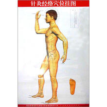 针灸经络穴位挂图：附说明书
