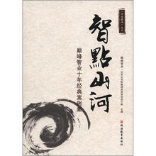 智点山河：巅峰智业十年经典案例集