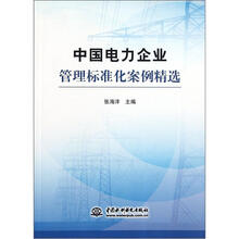 中国电力企业管理标准化案例精选