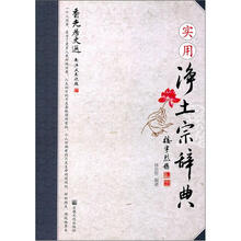 实用净土宗辞典（香光居文选）