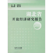 湖北省开发经济研究报告2011