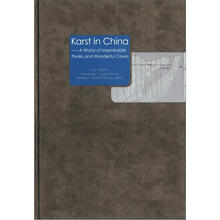 Karst in China ： A World of Distinctive