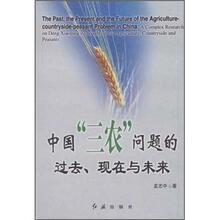 中国“3农”问题的过去：现在与未来