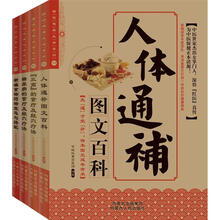 食疗+按摩，人体通补大典（套装全4册）