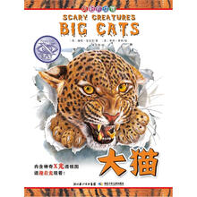 可怕的动物：大猫