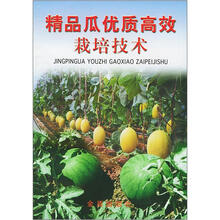 精品瓜优质高效栽培技术