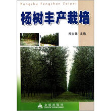 杨树丰产栽培